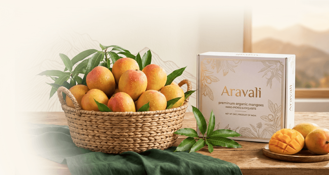 Fresh organic Mangoes in a basket